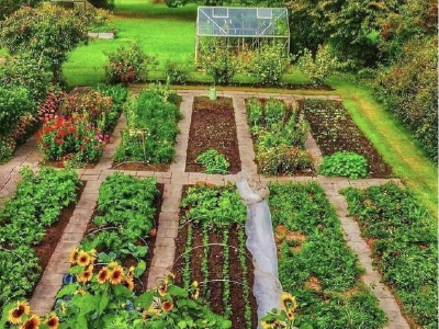 Jardin Partagé du Canal