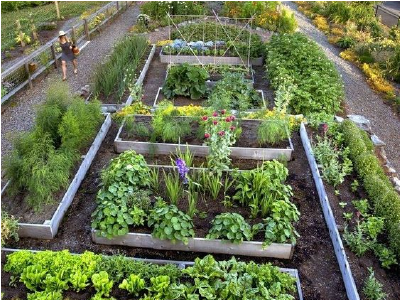 Jardin de l'École des Buissonnets